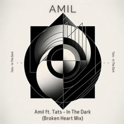 In The Dark (Amil Broken Heart Mix)