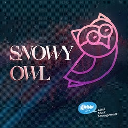No Illusions, Owl of Snow