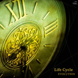 Life Cycle - Evolution