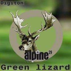 Green lizard