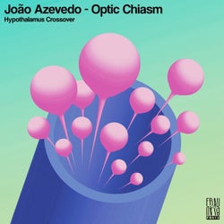 Optic Chiasm