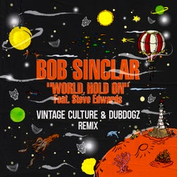 World Hold On (feat. Steve Edwards, Vintage Culture, Dubdogz) & Dubdogz (Vintage Culture & Dubdogz Remix, Extended Mix)