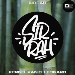 Kernel Panic/Leonard
