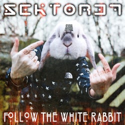 Follow the White Rabbit