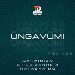 Ungavumi (Remixes)