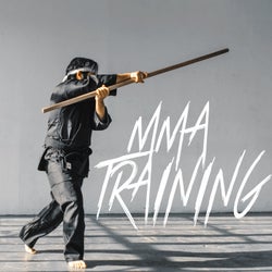 Mma Training