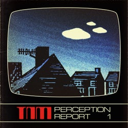 Perception Report 1