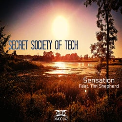 Sensation (feat. Tim Shepherd)
