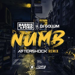 Numb (Aftershock Extended Remix)