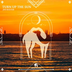 Turn Up the Sun