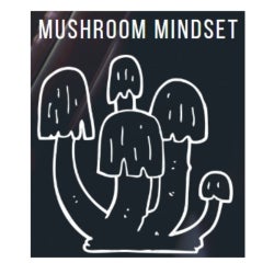 mushroom mind set 2020