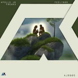 Feelings