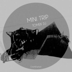 Mini Trip