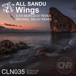 Wings (Remixes)