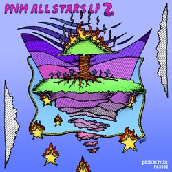 PNM All Stars LP 2