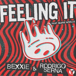 Feeling It (Extended Mix)