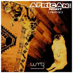 African Night (Remix)