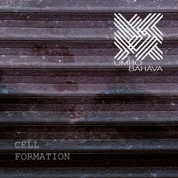 Cell Formation