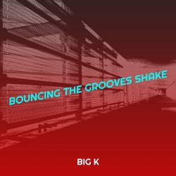 Bouncing the Grooves Shake