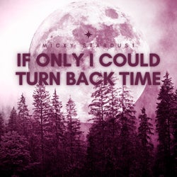 If Only I Could Turn Back Time