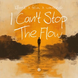 I Can't Stop the Flow (Extended Mix)