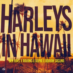 Harleys In Hawaii