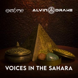 Voices In The Sahara