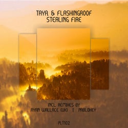 Stealing Fire (Incl. Remixes)