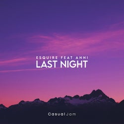Last Night (feat. Anni)