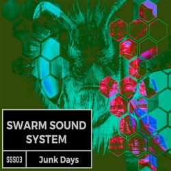 Junk Days