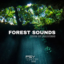 Forest Sounds