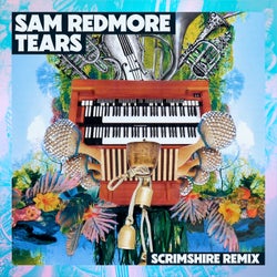 Tears (Scrimshire Remix)