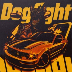 Dogfight