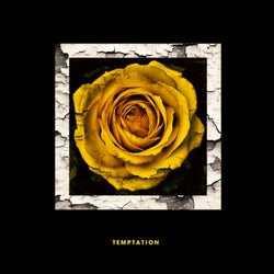 Temptation - Cinnamon Chasers Remix