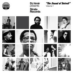 DJ Amir Presents 'Strata Records-The Sound of Detroit' Volume 1