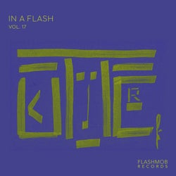 In a Flash, Vol. 17