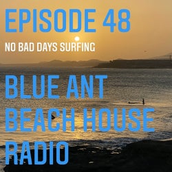 #48 Blue Ant Beach House Radio