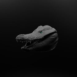 Crocodile Tears (House Remix)