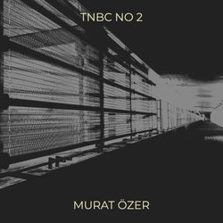 Tnbc No 2