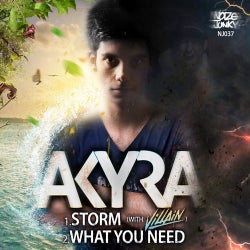 Storm / What You Need