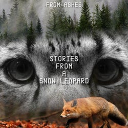 Stories from a Snow Leopard EP