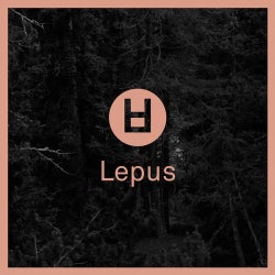 Lepus Pt. 2