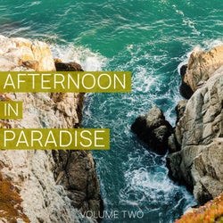 Afternoon in Paradise, Vol. 2 (Finest Selection of Modern Progressive House & Electro House Tunes)