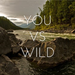 You vs Wild