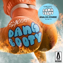 Dang Booty (Analog Zombie Remix)