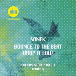 BOUNCE TO THE BEAT/DROP IT LOW