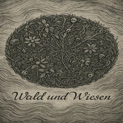 Wald Und Wiesen