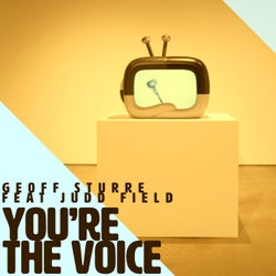You're The Voice (feat. Judd Field)