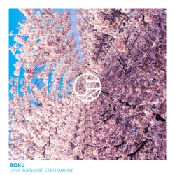 Love Burn (feat. Cleo Simone) (Extended Mix)