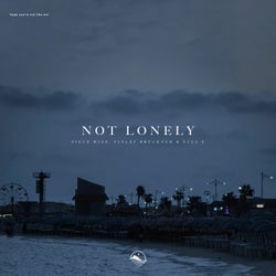 Not Lonely